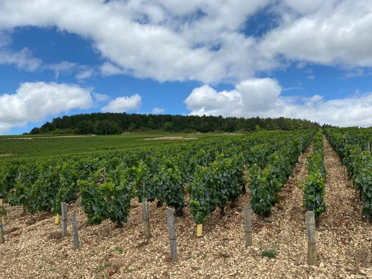 Le Cristallin Gite Plein Coeur De Chablis Exterior foto